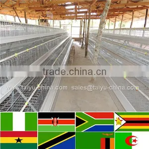 Trade Assurance NO.1 Design 50000 Chicken House 4tier Poultry Cage thumbnail-1