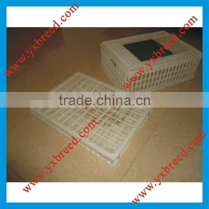 Dismountable Plastic Transport Cage thumbnail-1