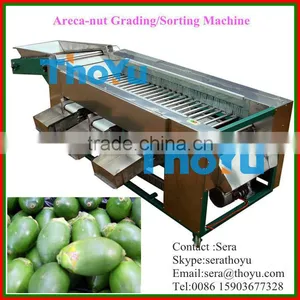 Salable in World THOYU Brand Areca-nut Grade Sorting Machine(0086 15903677328) thumbnail-1