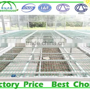 Wind Span Glass Greenhouse thumbnail-4