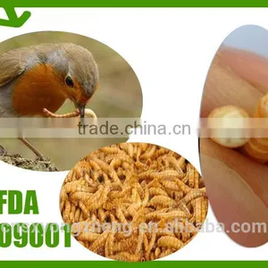 Eco-friendly Bird Food Dried Mealworms;Dried Mealworms for Birdseed thumbnail-1
