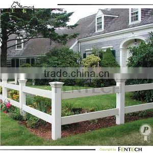 Horse Fencing With England Cap thumbnail-1