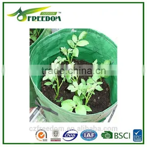 Plant Pot thumbnail-2