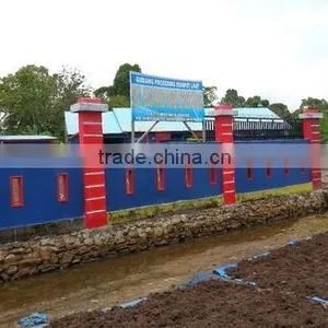 Gracilaria Seaweed With Good Quality thumbnail-2