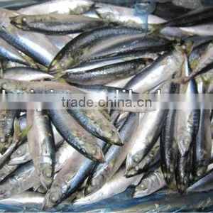 New 100-120g Frrozen Mackerel thumbnail-1