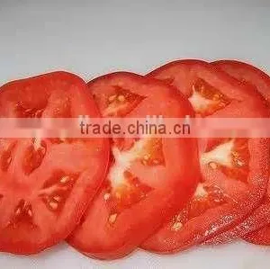 2017 SS Easy Tomato Slicer thumbnail-2