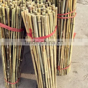 Excellent Quality Factory Price Garden Bamboo Canes for Sale thumbnail-2