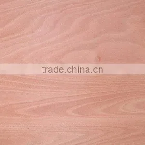 OKOUME FACED COMMERCIAL PLYWOOD thumbnail-1