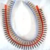 Sell Collated Drywall Screw thumbnail-1