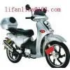 Jiangmen Qipai Imp&Exp. Co.,Ltd company overview - view 1 thumbnail
