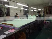 Foshan Gaoming Goodlook Garment Co., Ltd. company overview - view 2 thumbnail