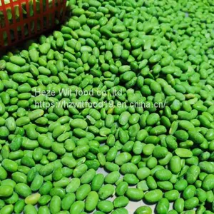 Frozen Soybeans Pods and Kernels thumbnail-4