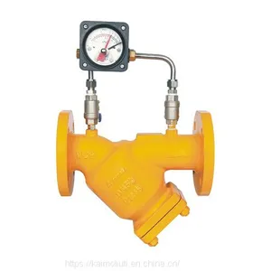 WCB Y Strainer Filter With Differential Pressure Gauge for Natural Fuel Gas thumbnail-1