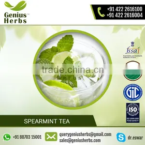 Premium Spearmint Tea With Excellent Anti-oxident Properties thumbnail-1