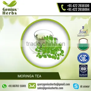 100% Pure Best Certified Quality Moringa Tea for Sale thumbnail-2