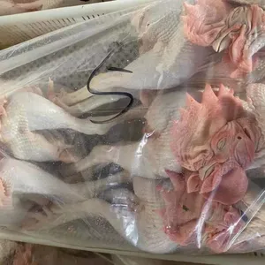 Fresh Frozen Bone Raw Chicken thumbnail-1