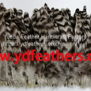 Rooster/coque/cock Tail Feather Chinchilla for Wholesale From China thumbnail-1