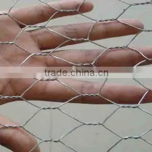 Electro and Hot-dip Galvanized Chicken Mesh, Hexagonal Twisted Mesh thumbnail-2