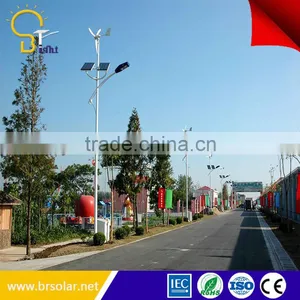 Professional Supplier Wind Solar Hybrid Street Light thumbnail-1