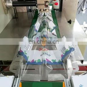 Factory Direct Selling Down Pillow Packing Machine Cabbage Pillow Packing Machine Servo Control Easy to Operate thumbnail-3