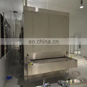 Instant Freezer/meat/food Freezing Machine 500kg/h thumbnail-4
