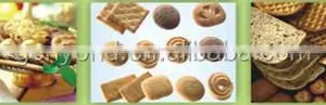 Baking Oven With Electricity /oil/gas/coal thumbnail-5