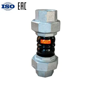Rubber Expansion Joint Pipe Fitting Flexible Connector S304 Flexible Joint Threading thumbnail-5
