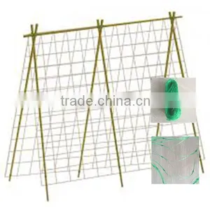 Trellis for Climbing Plants thumbnail-6