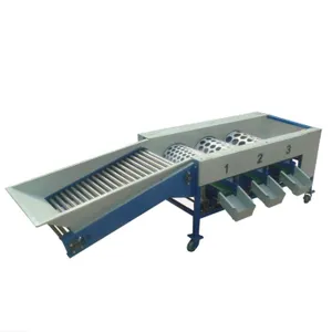 Potato Sorting Machine Fruit and Vegetable Grading Machine3 thumbnail-3