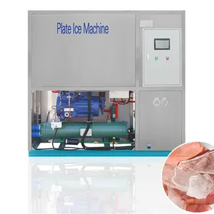 Linsky 3Ton/24hr Plate Ice Machinery for Seafood Market thumbnail-1