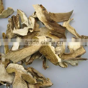 Dried Boletus Edulis Mushroom Seller thumbnail-4