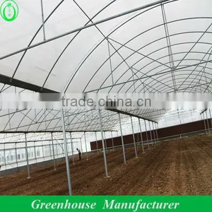 Cheap Film Greenhouses in Middle East thumbnail-1