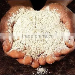 High Quality Horseradish Powder thumbnail-1