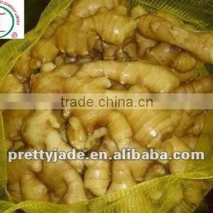 New 150g Fresh Ginger thumbnail-1