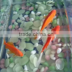 Glow Stone for Aquarium Decoration thumbnail-4