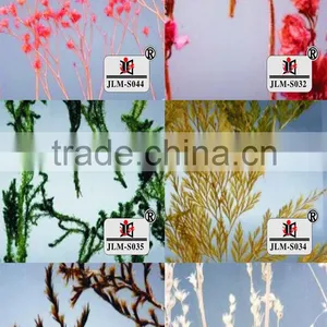 Modern Design for Special Plastic Sheets Wholesale thumbnail-6