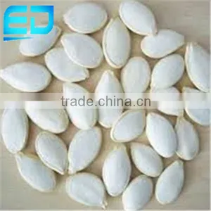 China Pumpkin Seeds Price, Snow White Pumpkin Seeds, Pumpkin Seeds Price thumbnail-1