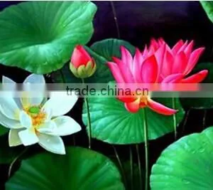 Waterproof Silky Satin Canvas Print for Printer Canvas Prices thumbnail-3