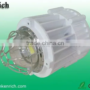 50 W LED Explosion Proof Light (IP65) Courtyard Light Laneway Light thumbnail-1