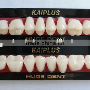 Four Layers Composite Material Kaiplus Synthetic Polymer Teeth thumbnail-1