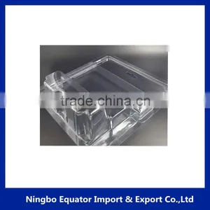 Customized Clear PVC PET Plastic Blister Packaging thumbnail-1
