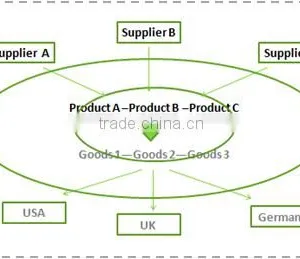 Professtional Door to Door Service Amazon Fba Shipping Company From China to USA Amazon----Apple thumbnail-3