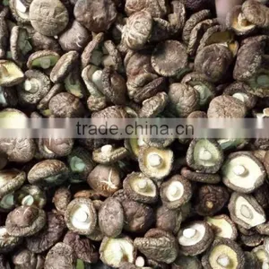 Shiitake Mushroom Slice thumbnail-4