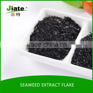 Seaweed Extract Organic Powder /flake Fertilizer thumbnail-6