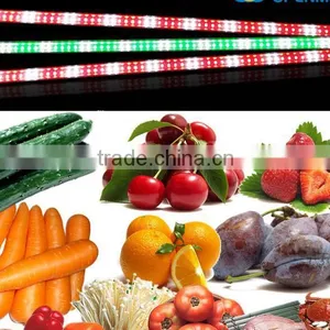 360degree Led t8 Tube,2ft 10w,3ft 14w,4ft 20w,5ft 24w 360D Led Tube,really 360degree IP67 Tube Factory,ip67 Light Factory thumbnail-6
