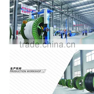 Shandong New Huiyuan Metal Materials Co., Ltd. company overview - view 3 thumbnail