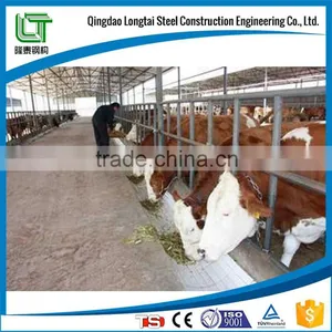 Steel Structure Horse House thumbnail-1