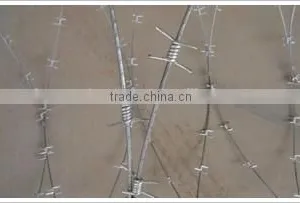 Barbed Wire thumbnail-2