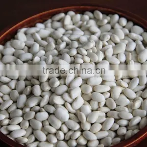 White Kidney Beans, Crop 2015 Crop thumbnail-2