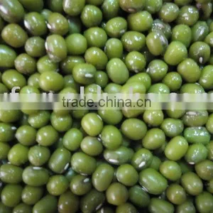 Green Mung Bean Big Size thumbnail-1